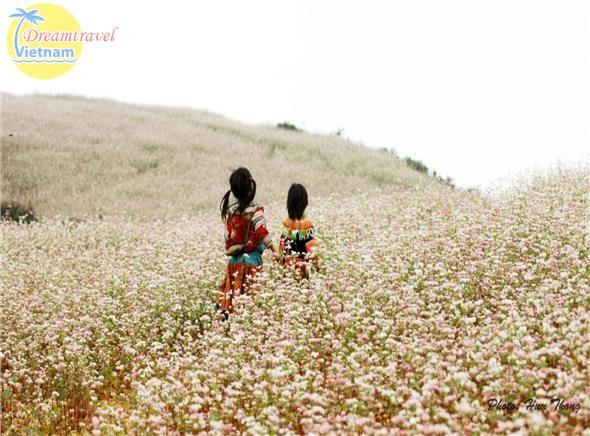 Tour du lịch Hà Giang từ Hà Nội (thứ 6 hàng tuần) Tour du lịch Hà Giang từ Hà Nội (thứ 6 hàng tuần)